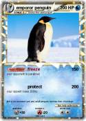 emporor penguin