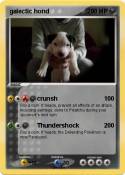 galectic hond