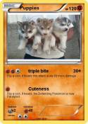 Puppies