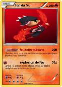 lion du feu