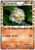 Fleurisaz EX