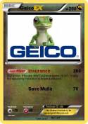 Geico