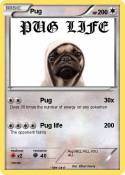 Pug