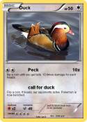 Duck