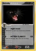 Evil kitty