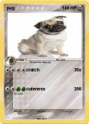 pug