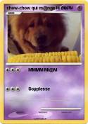 chow-chow qui
