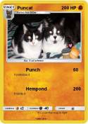 Puncat