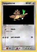 Kangasfetchd