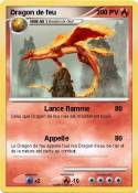 Dragon de feu