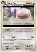 Flying Cat