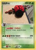 LadyBug