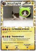 Cat in a Frog