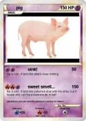pig