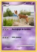 basenji