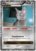 kitty