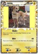 PIPPA