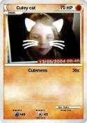 Cutey cat