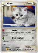 Kitten