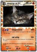 sleeping cat