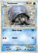 Tortoiseses