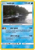 warte gx