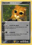 chat botté