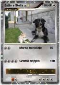 Balto e Stella
