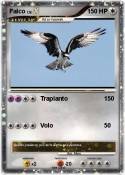 Falco