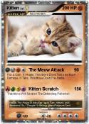 Kitten
