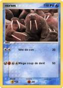 morses