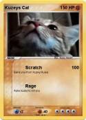 Kuzeys Cat