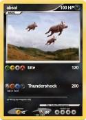 absol