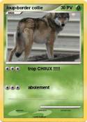 loup-border