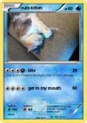 cute kitten