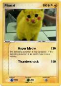 Pikacat