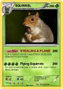 SQUIRREL