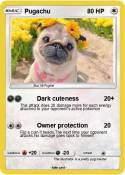 Pugachu