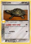metal turttle