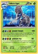 nature tiger