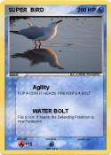 SUPER BIRD