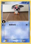 Zebi