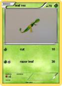 leaf rex