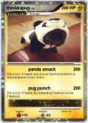 thedatapug