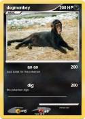 dogmonkey