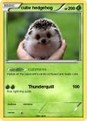 cutie hedgehog