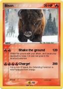 Bison