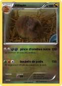 Killapin