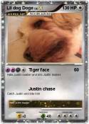 Lil dog Doge