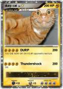 durp cat